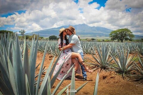 Økonomisk Rejsende Tequila