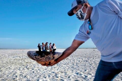 Full day at the Salar de Negritos