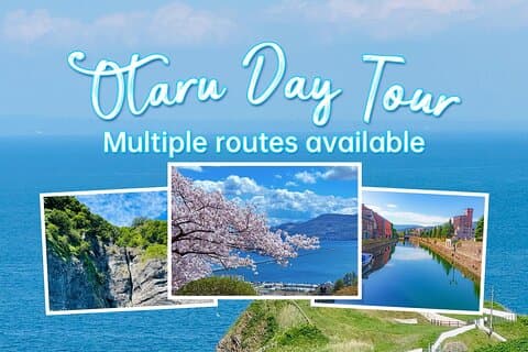 Hokkaido Otaru Private Full Day Tour (Depart from Sapporo)
