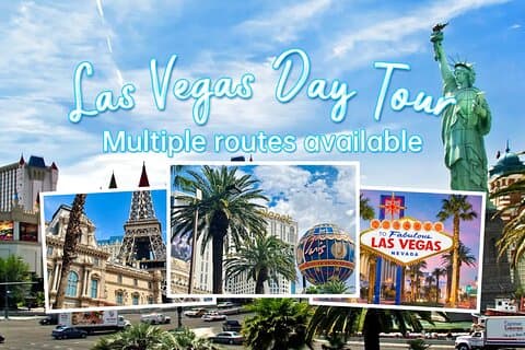 Las Vegas Downtown privat sightseeingtur