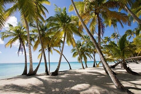 Saona Island Tour