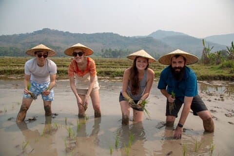 Från jord till bord Halvdags risupplevelse i Luang Prabang
