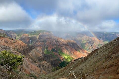 Kauai's Waimea Canyon en South Side Private Guided Tour