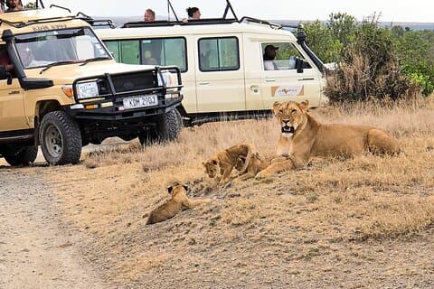 Aventure de 3 nuits aux contreforts du mont Kenya (Ol Pejeta)