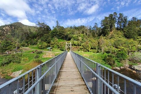 Small Group Tour To Karangahake Gorge & Waihi Gold Exploration