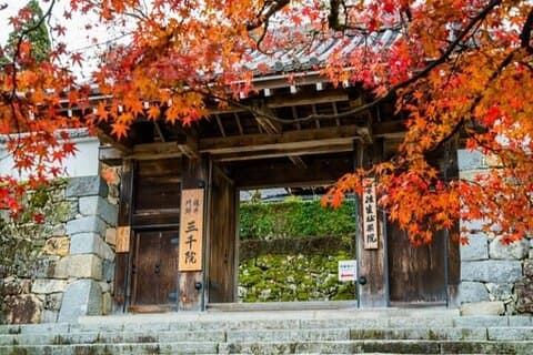 Kyoto Sansen-in Arashiyama Train Excursion d'une journée au départ d'Osaka ou de Kyoto