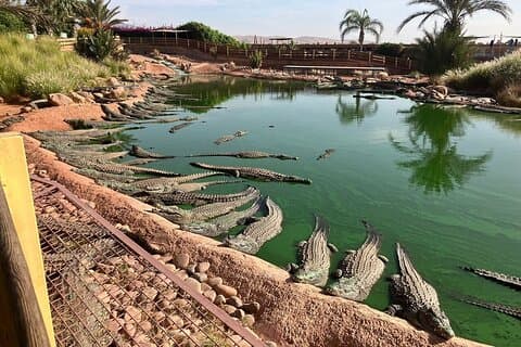 Agadir Wildlife & Argan Getgårdstur med Croco Park Entry