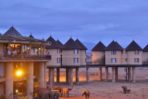 4 dagar Amboseli Taita Hills Salt Lick och Tsavo East Safari