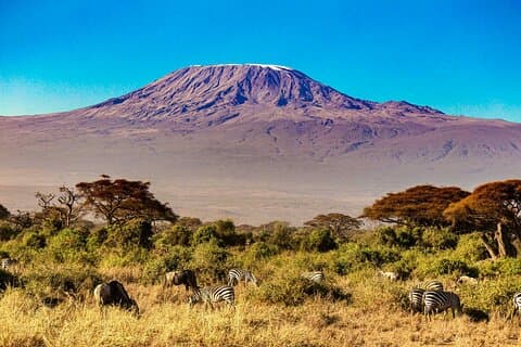 7 Days Mt Kilimanjaro Machame Route