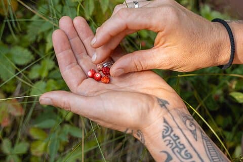 Safari to learn about wild herbs in San Vigilio