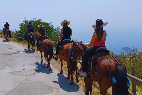 Sorrento Guided Horseback Riding Tour