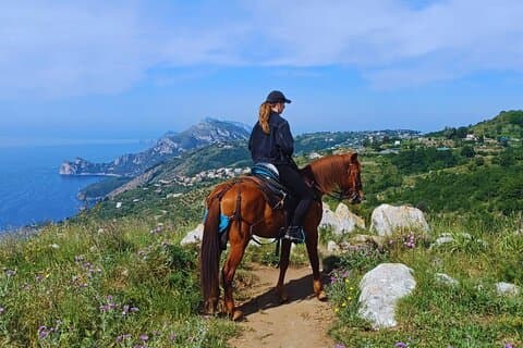 Shared Guided 3 Hour Horseback Ride on the Sorrento Peninsula