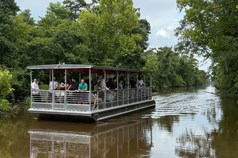 Covered Boat Swamp Tour