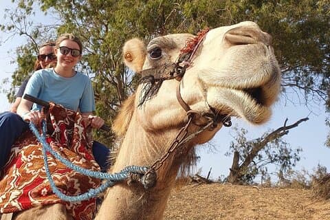 Vanuit Agadir : Camel Ride Flamingo River met Marokkaanse taarten & thee