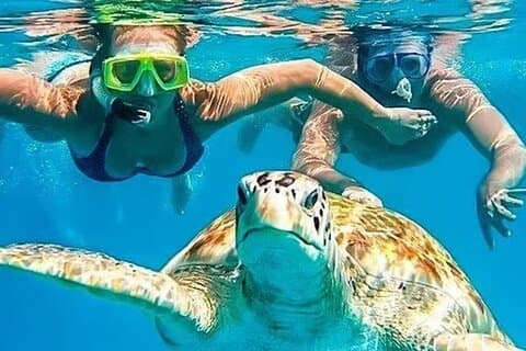 Journée complète de baignade avec tortues et visite côtière au départ de Piura