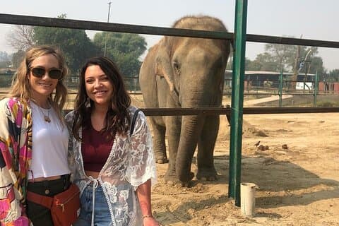 Excursion privée d'une journée au Taj Mahal, au fort d'Agra et au sanctuaire de sauvetage des éléphants