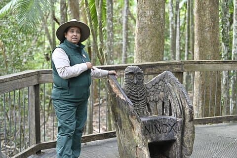 Sea Acres National Park: Aboriginal kultur tur