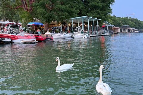 Crociera in barca sul lago Austin di 1 ora. BYOB (Condivisi - Biglietti singoli)