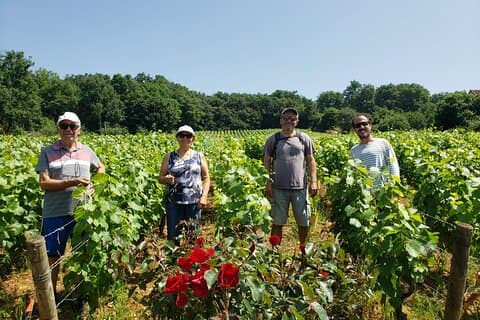 Private tour in Burgundy with your professional guide!