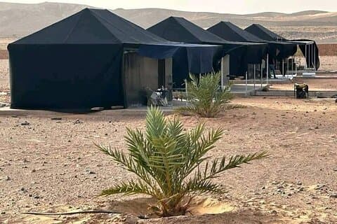 5 jours et 4 nuits d'aventure de chasse aux fossiles au Maroc