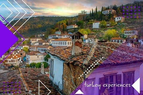 Ephesus Heritage Tour: Ephesus, Sirince, Artemission med lunsj