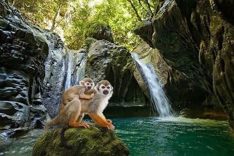 Combo : Damajagua and Monkeys & plantation tours in Puerto Plata