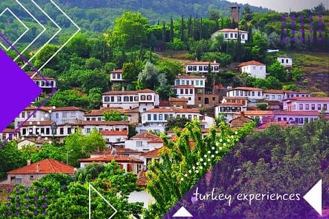 Tour giornaliero al villaggio di Sirince, città antica e museo di Efeso