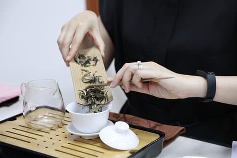 Chinesischer Tee-Workshop in kleiner Gruppe erleben