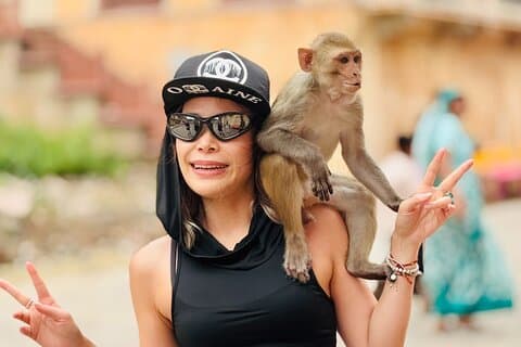 Nahargarh Fort and Monkey Temple 4 Hour Tour