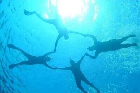 Coral Garden full dag snorkeltur med lunsj: Marsa Alam