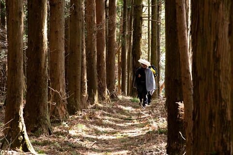 Usui Pass Edo Era Walk