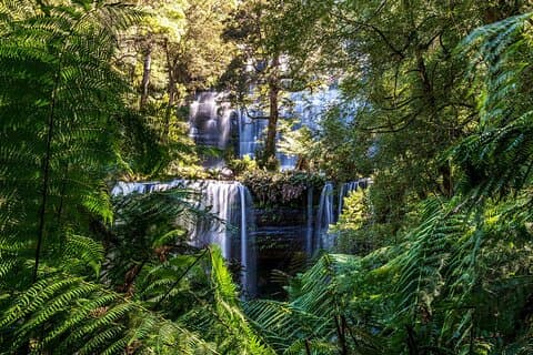 Hotell i nærheten av Mount Field National Park Shuttle