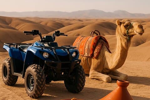 Agafay eventyr: Quad, Camel, Middag & Pool