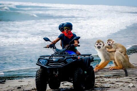 ATV-Offroad-Touren mit Affen und Plantagenführungen ab Amber Cove Taino B