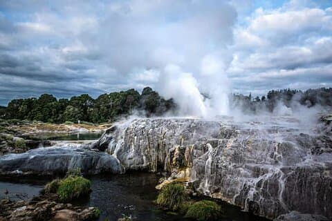 Auckland : Rotorua Te Puia & Maori Village Tour mit Haka