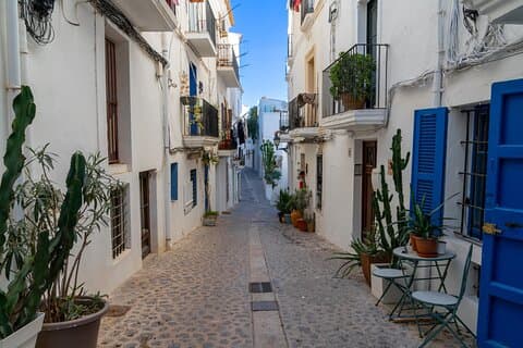 Deluxe kryssningsvänlig guidad tur till Ibiza med port pickup