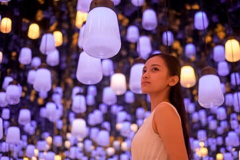 Tóquio : teamLab, Azabudai Hills & National Art Center Tour