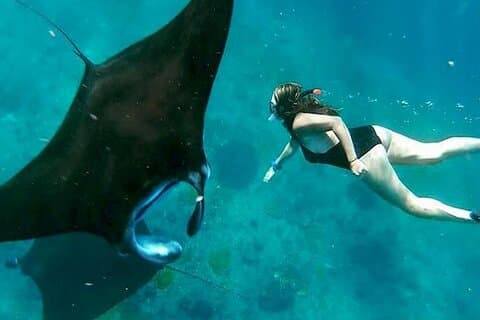 Private All Inclusive Nusa Penida Snorkeling og tur