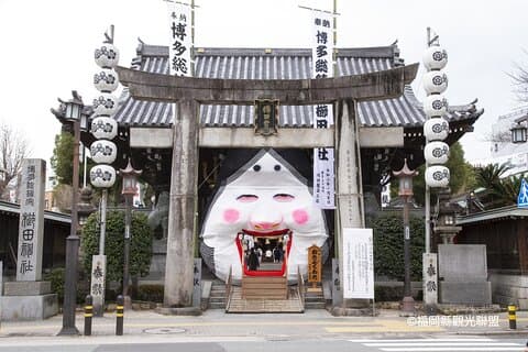 Hakata Cruise Shore Utflykt Fukuoka Halvdagstur