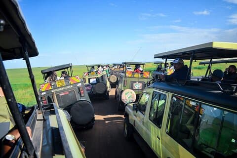 3 Dias Masai Mara Safari privado de meio de luxo