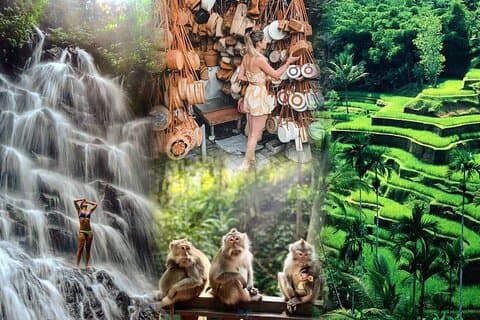 Excursão de dia inteiro Ubud Waterfall Monkey Forest Rice Terrace