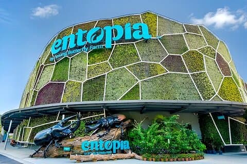 Penang City och Entopia Butterfly Farm Tour