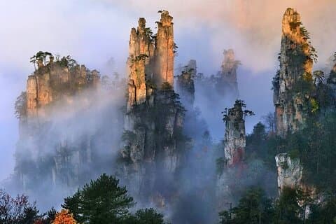 Zhangjiajie National Forest Park Entrance Ticket