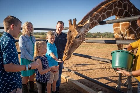 Animal Encounters