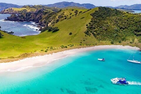 Scenic Bay of Islands Escape: Privat heldagstur fra Auckland