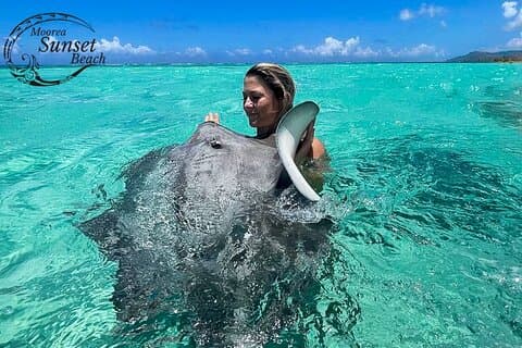 Private Boat Tour Around the Island of Moorea (With Lunch)