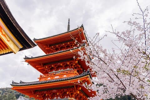 京都360の主要ユネスコ世界遺産を巡る1日ツアー