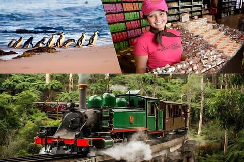 Puffing Billy Phillip Island & Zoo Small Group Hotel Pick Up