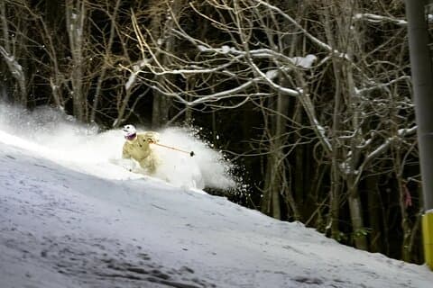 Private 1 Day Ski Tour from Nagano Station