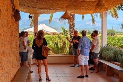 Visite des vins de Majorque Goûtez aux vins locaux à Santa Maria